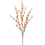 Blooming Bittersweet Spray