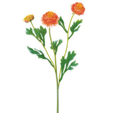 Orange Ranunculus Spray