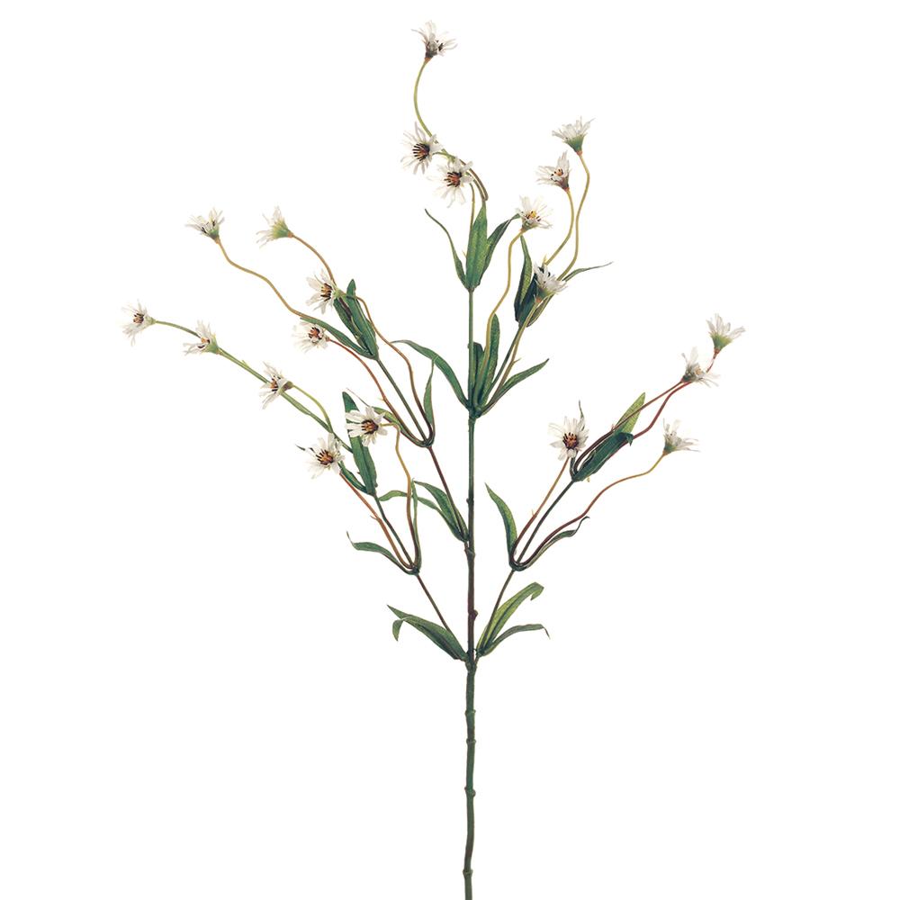 Cream White Wild Daisy Spray