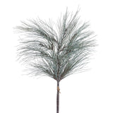 Gray Green Long Needle Pine Bundle