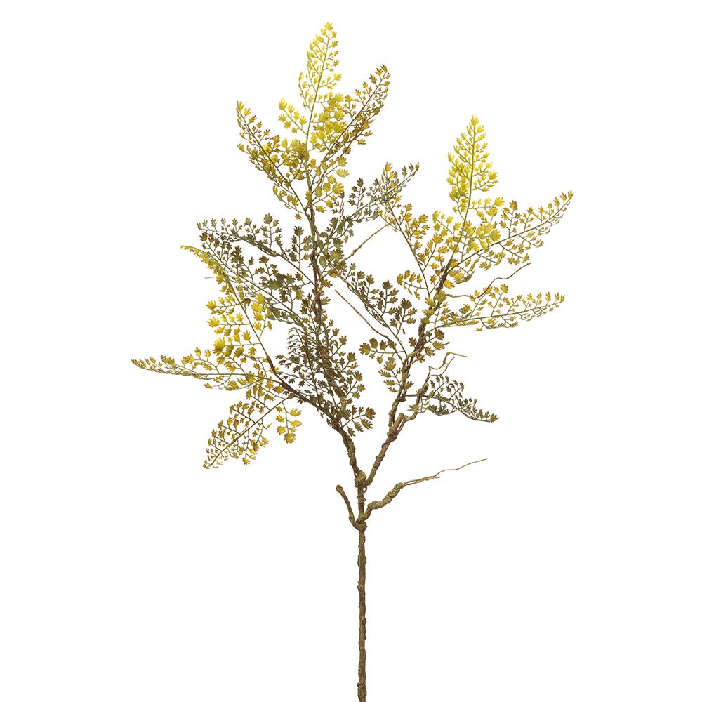 Maidenhair Fern Bendy Spray