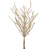 Jumbo Gold Mini Berry Bundle