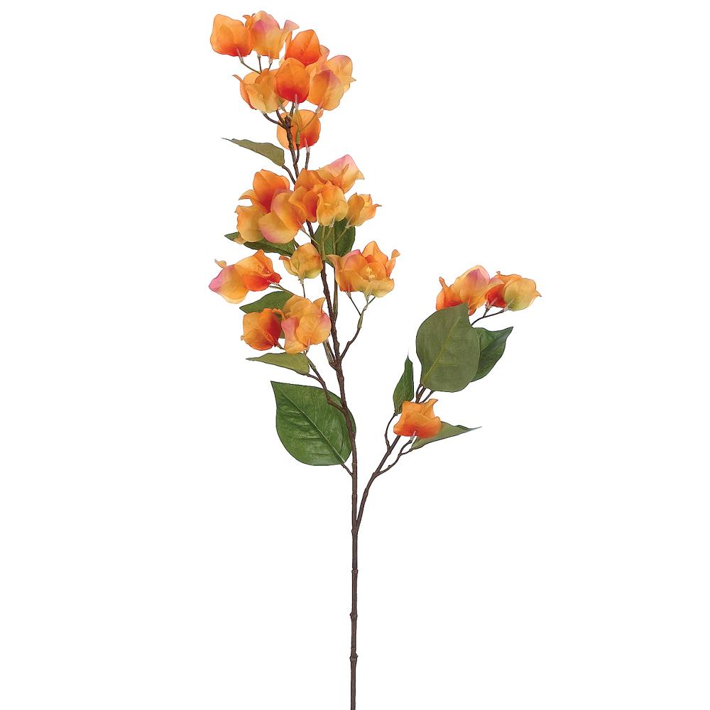 Orange Pink Bougainvillea Spray