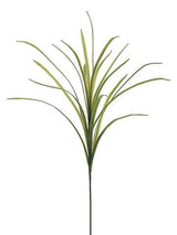 Green Flax Grass Spray