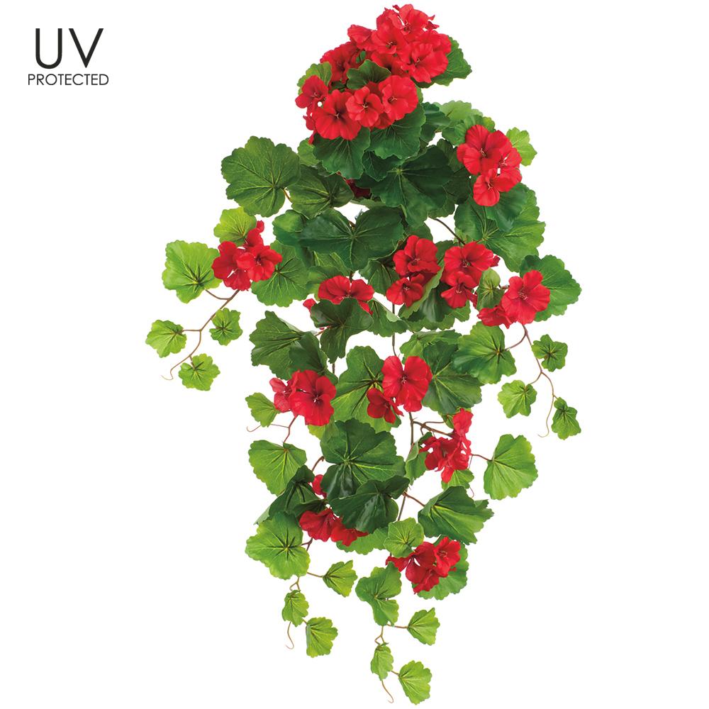 UV Protect Hanging Red Geranium Bush