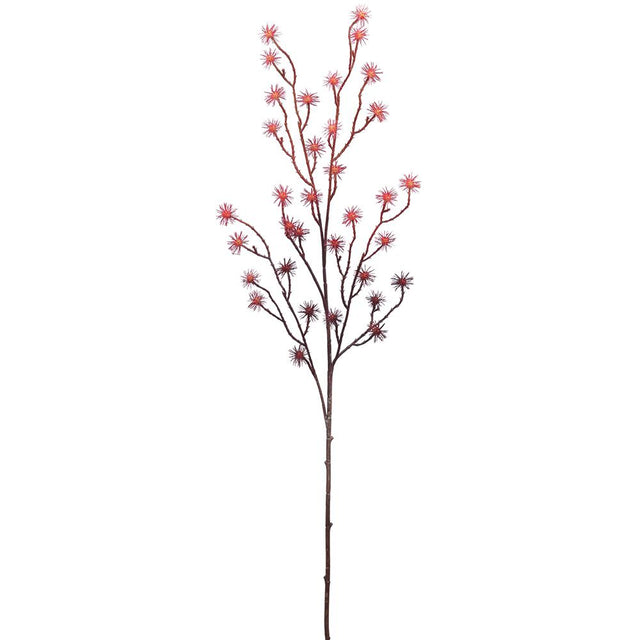 Burgundy Wild Thistle Spray