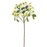 Green Dogwood Spray
