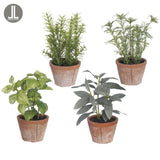 7.5" Herb in Clay Pot