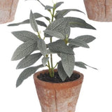 7.5" Herb in Clay Pot