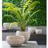 Beige Aged Fiber Cement Planter