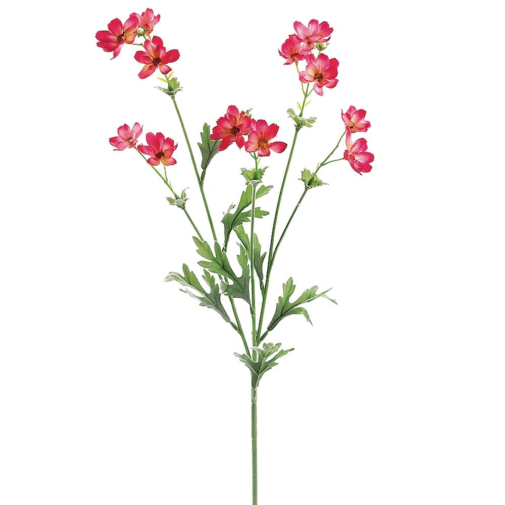 Pink Baby Cosmos Spray