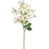 White Dogwood Spray