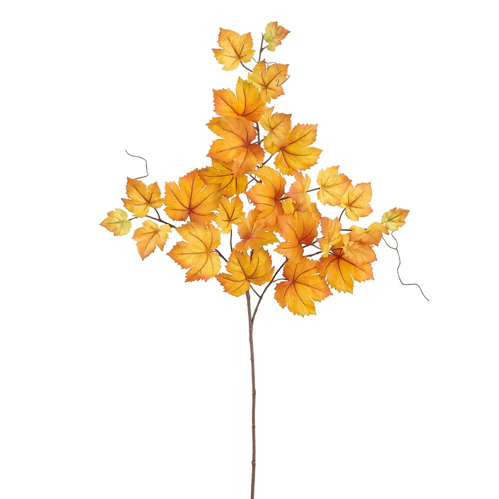 Orange Grape Leaf Spray