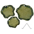 L) Dia.17.5 x 4",M) Dia.15 x 3.5",S) Dia.11 x 3"
Ceramic  High Glossy Grass Green Finish