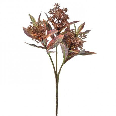 Seeded Artemesia Spray