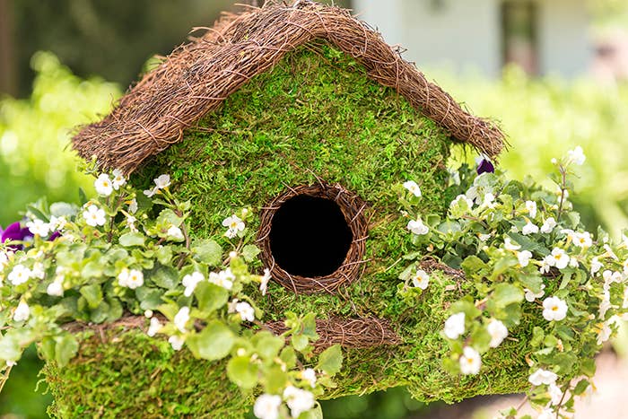 Plantable Maison Patio Birdhouse