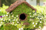 Plantable Maison Patio Birdhouse