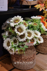 White Sunflower Bush