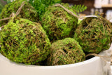 4" Mossy Orb