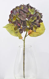 Warm Plum Hydrangea Stem