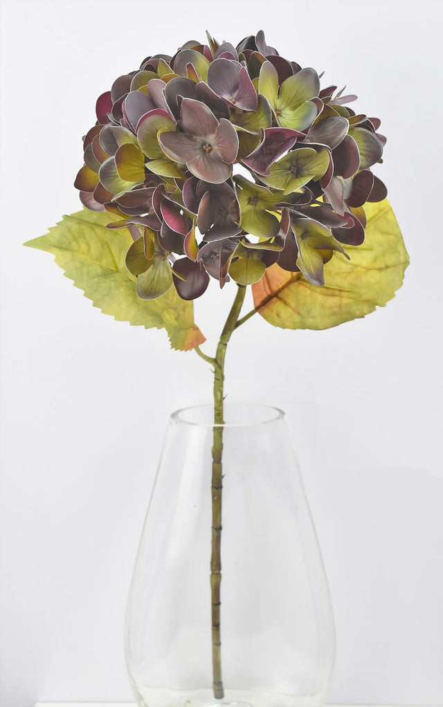 Warm Plum Hydrangea Stem