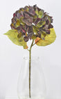 Warm Plum Hydrangea Stem