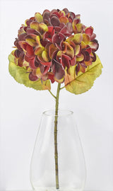 Deep Red Hydrangea Stem