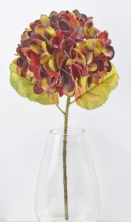 Deep Red Hydrangea Stem