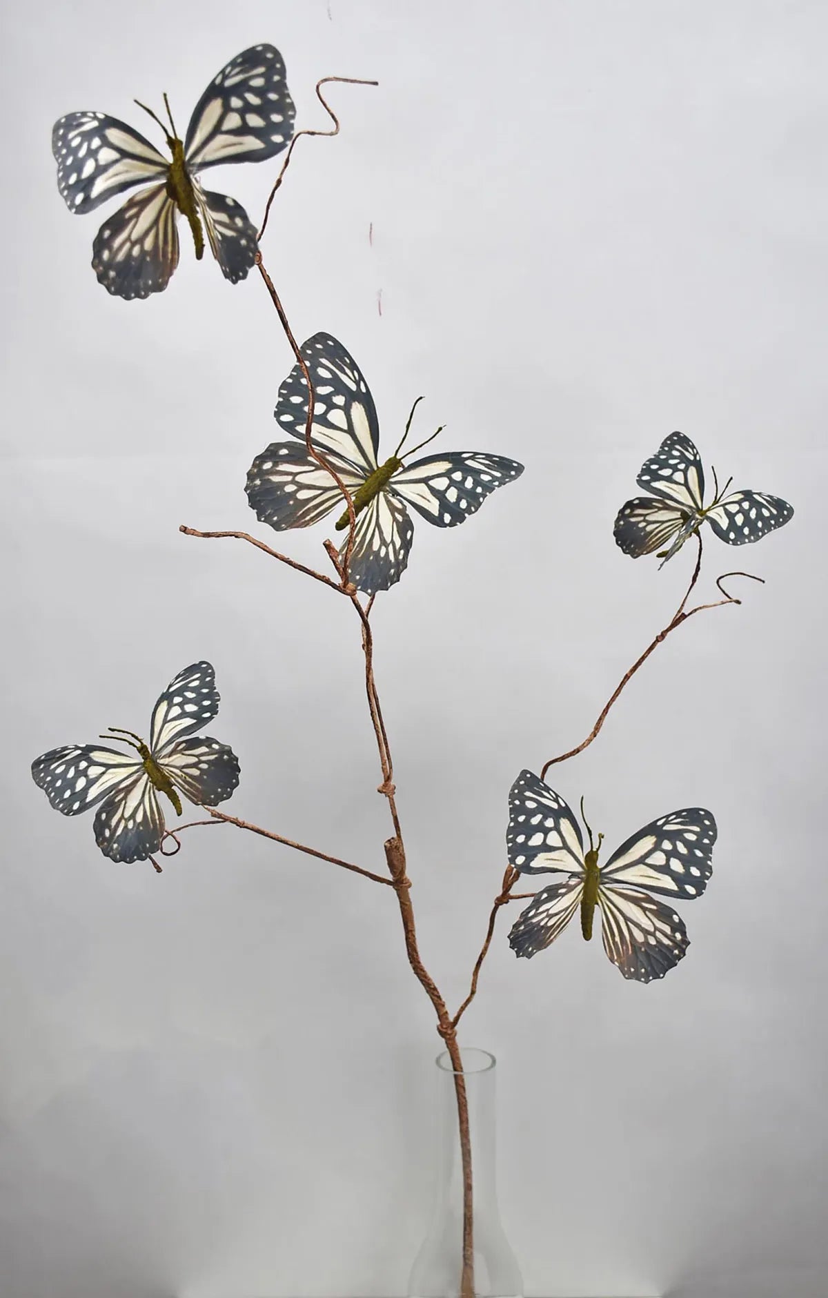 Black White Into the Field Butterfly Spray