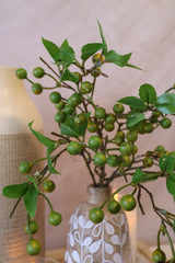 Olive Berry Spray