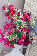 Terminalia Mantaly Leaf Spray