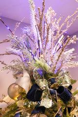 Outdoor Frozen Lighted Branch Set of 3