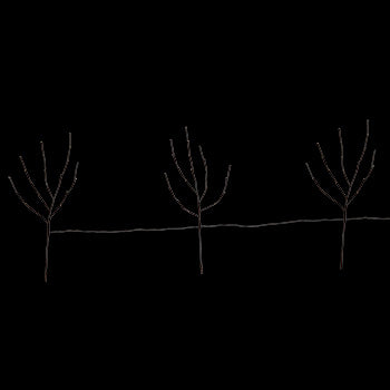 Outdoor Warm White Lighted Branch Set - Plug In