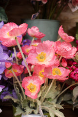Pink Poppy Spray