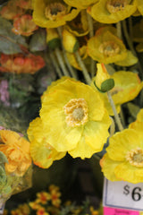 Yellow Poppy Spray