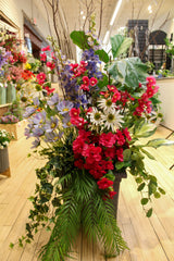 White Echinacea Spray