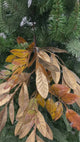 Gold Brown Laurel & Ruscus Leaf Spray