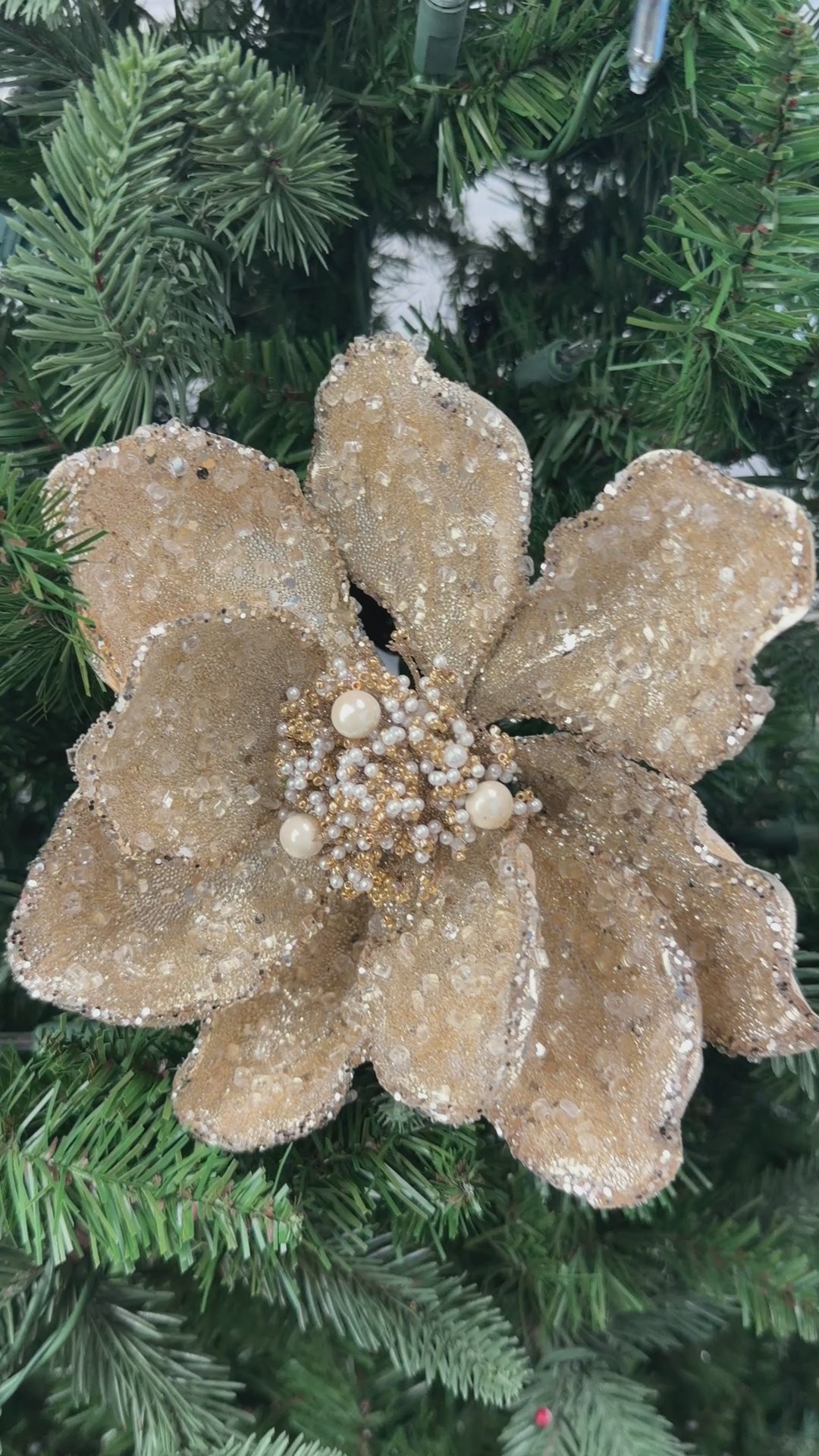 Bead & Ice Magnolia