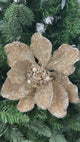 Bead & Ice Magnolia