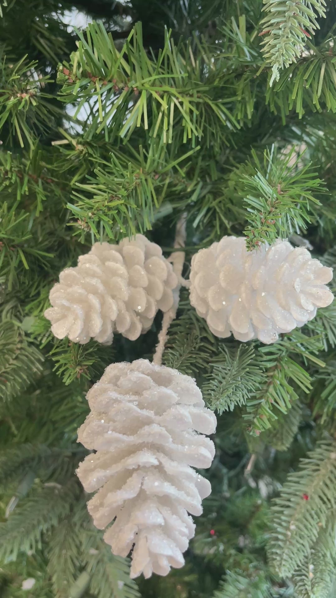 White Iced Cone Spray