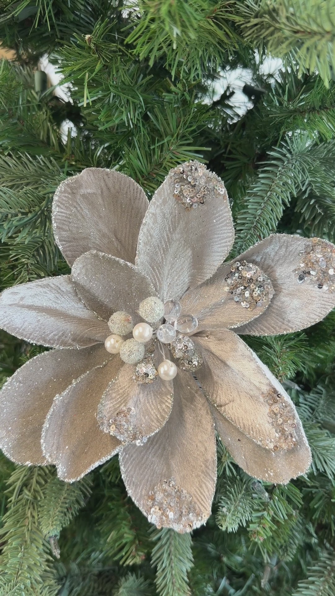Platinum Champagne Jewel Magnolia Stem