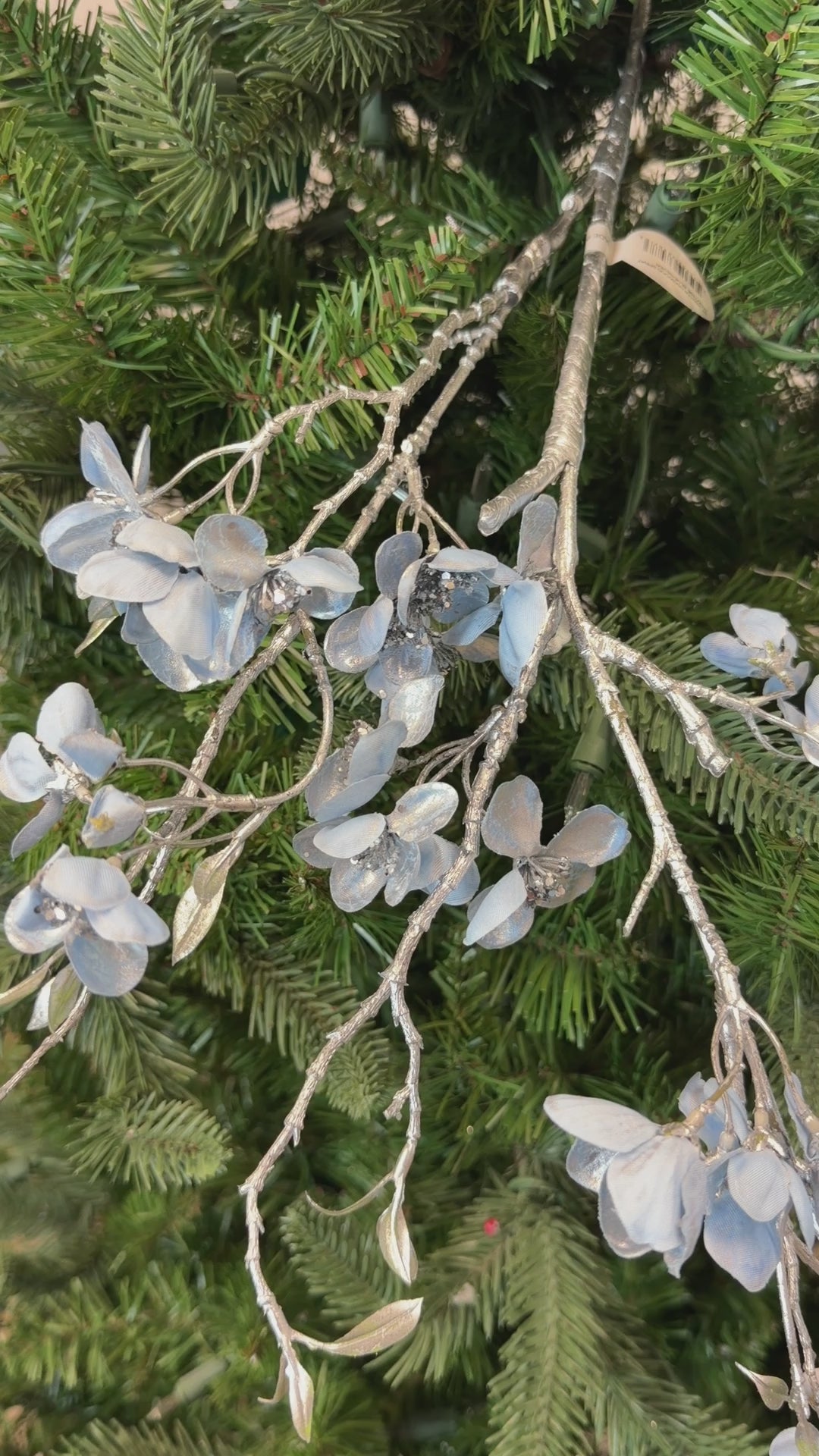 Blue Silver Winter Dogwood Spray