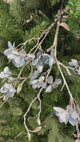 Blue Silver Winter Dogwood Spray