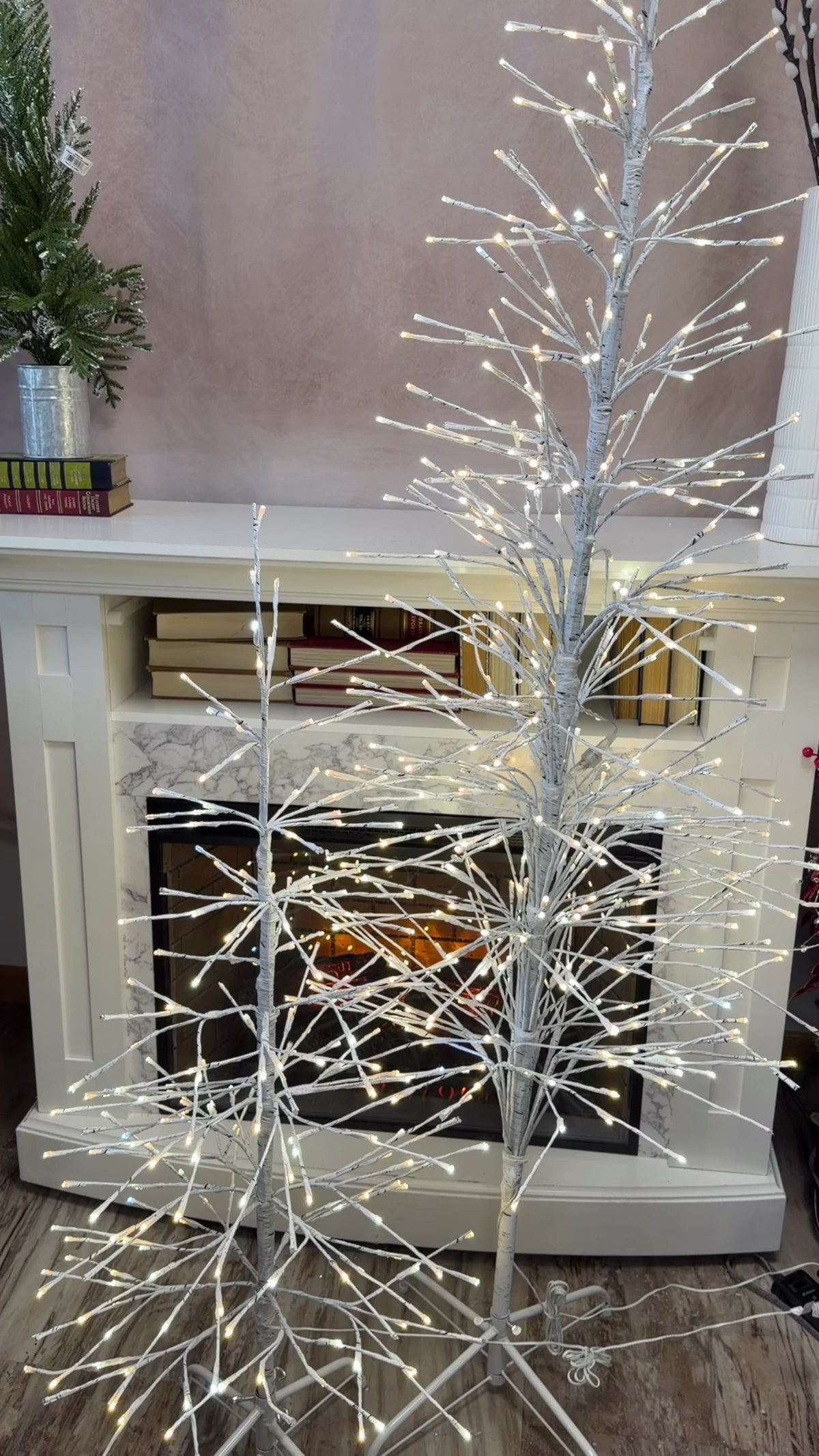 4' White Birch Lighted Tree