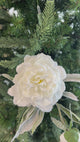 White Frosty Peony