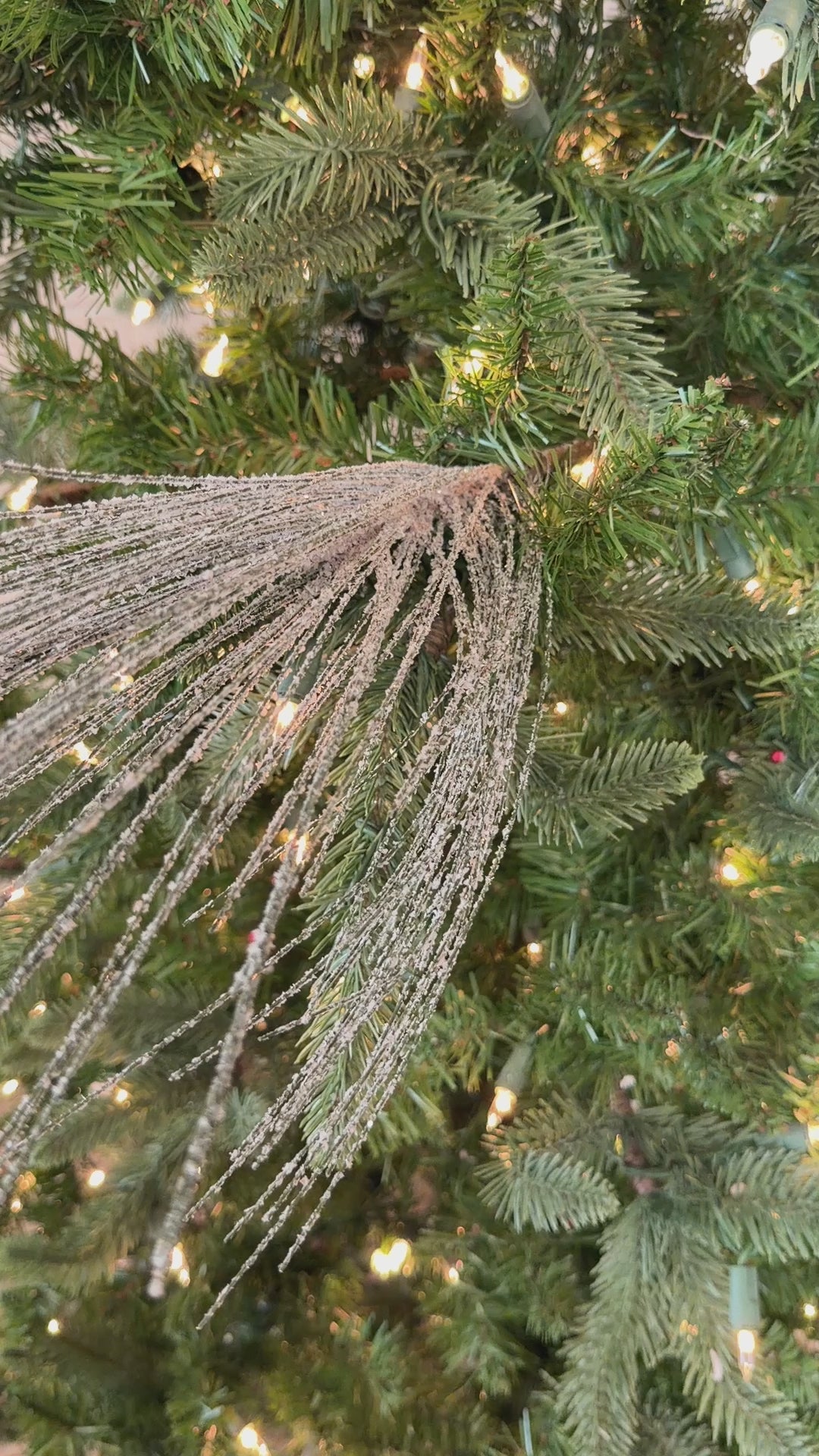Snowy Long Needle Pine Spray