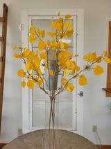 Aspen Leaf Branch