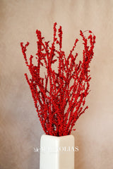 Red Mini Berry Bundle