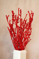 Red Mini Berry Bundle