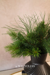 Tidings Mixed Pine Bundle